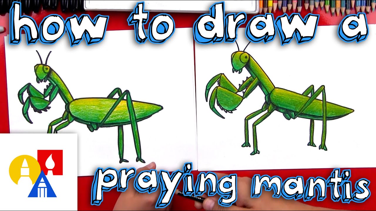 1280x720 How To Draw A Praying Mantis - Praying Mantis Drawing