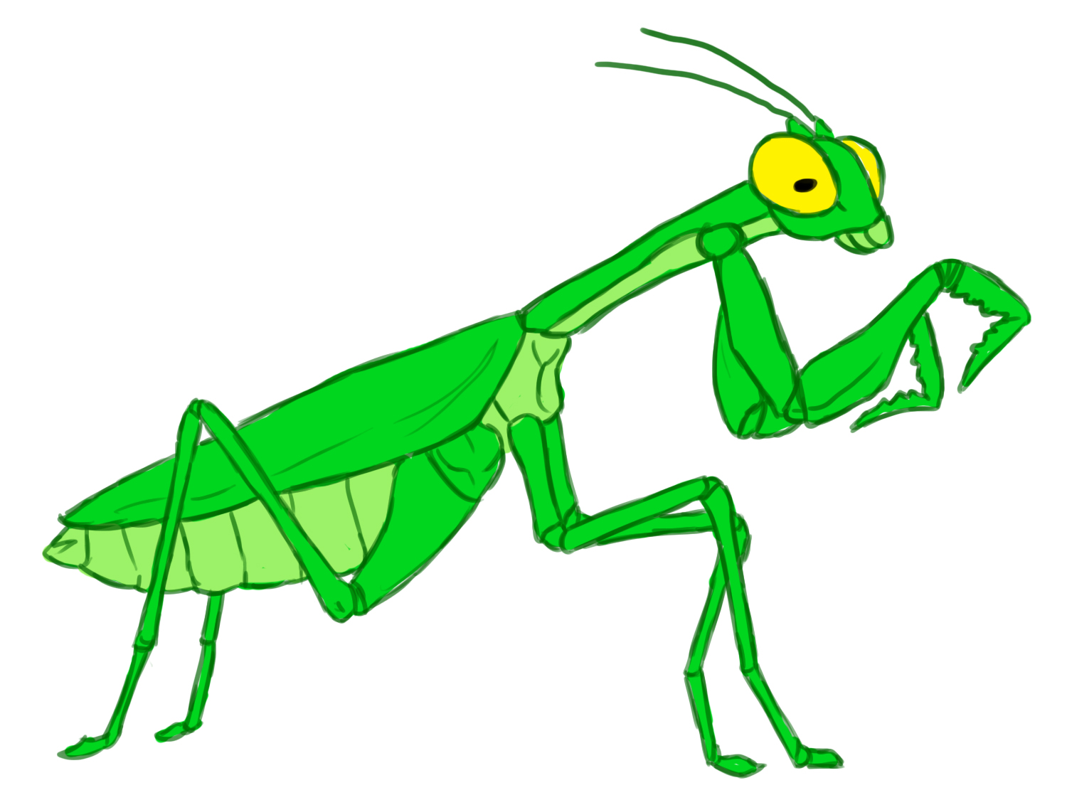 1500x1125 How To Draw A Praying Mantis Steps - Praying Mantis Drawing