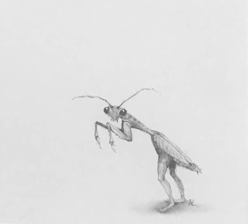 851x768 Adonna Khare - Praying Mantis Drawing