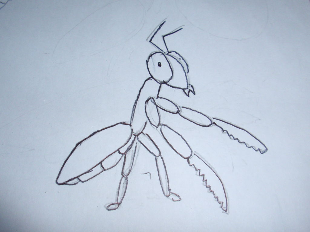 1024x768 How To Draw Gary The Praying Mantis! Steps - Praying Mantis Drawing