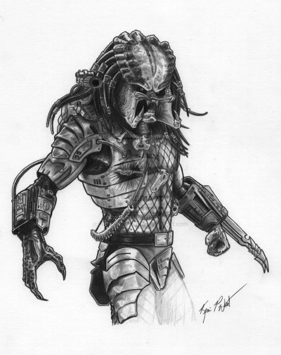 400x505 how to draw predator step - Predator Drawing