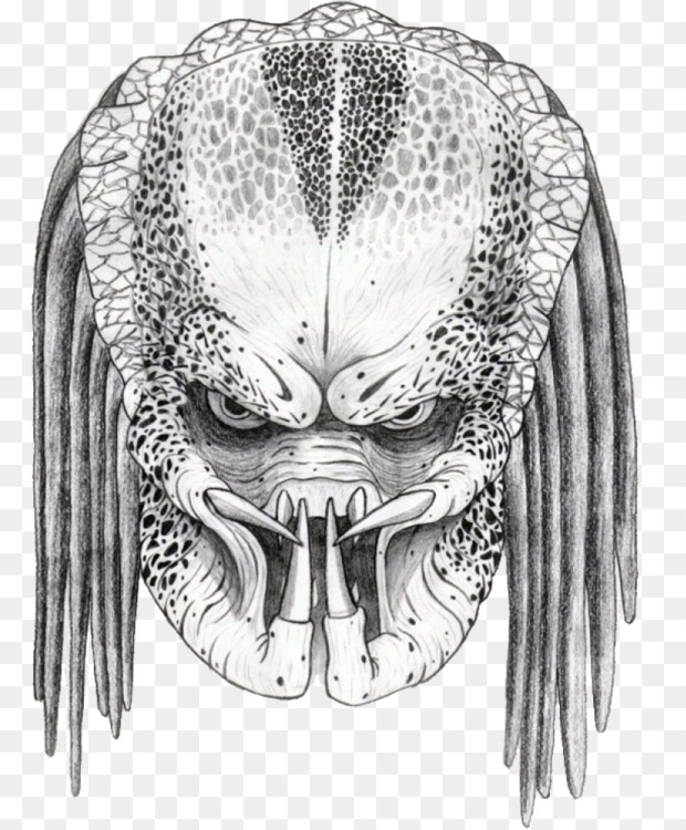 620x750 predator alien drawing character mask cc0 - Predator Drawing