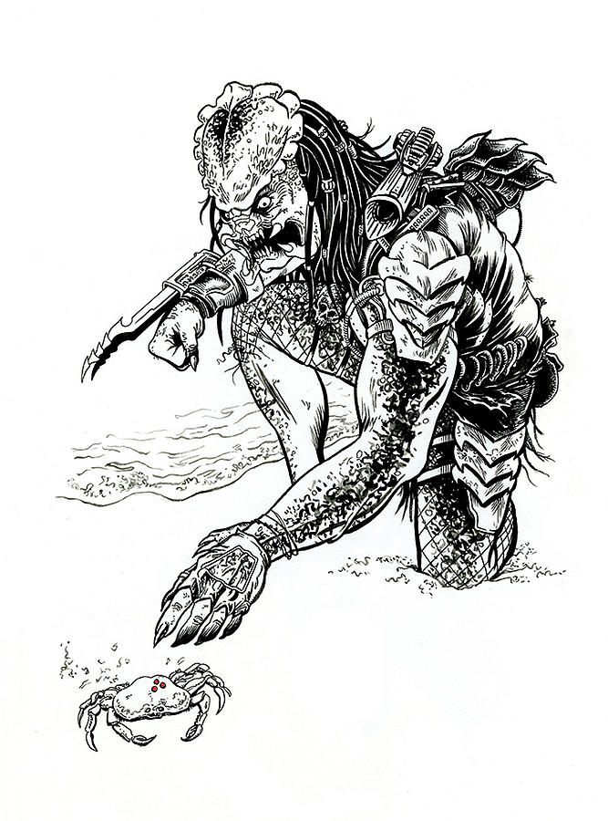 667x900 Predators Pal Drawing - Predator Drawing