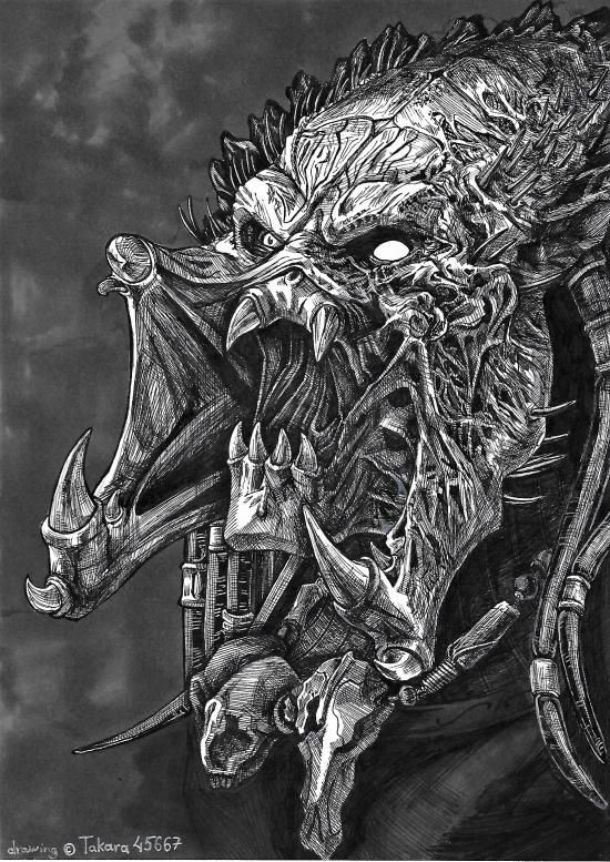550x777 Drawing - Predator Drawing