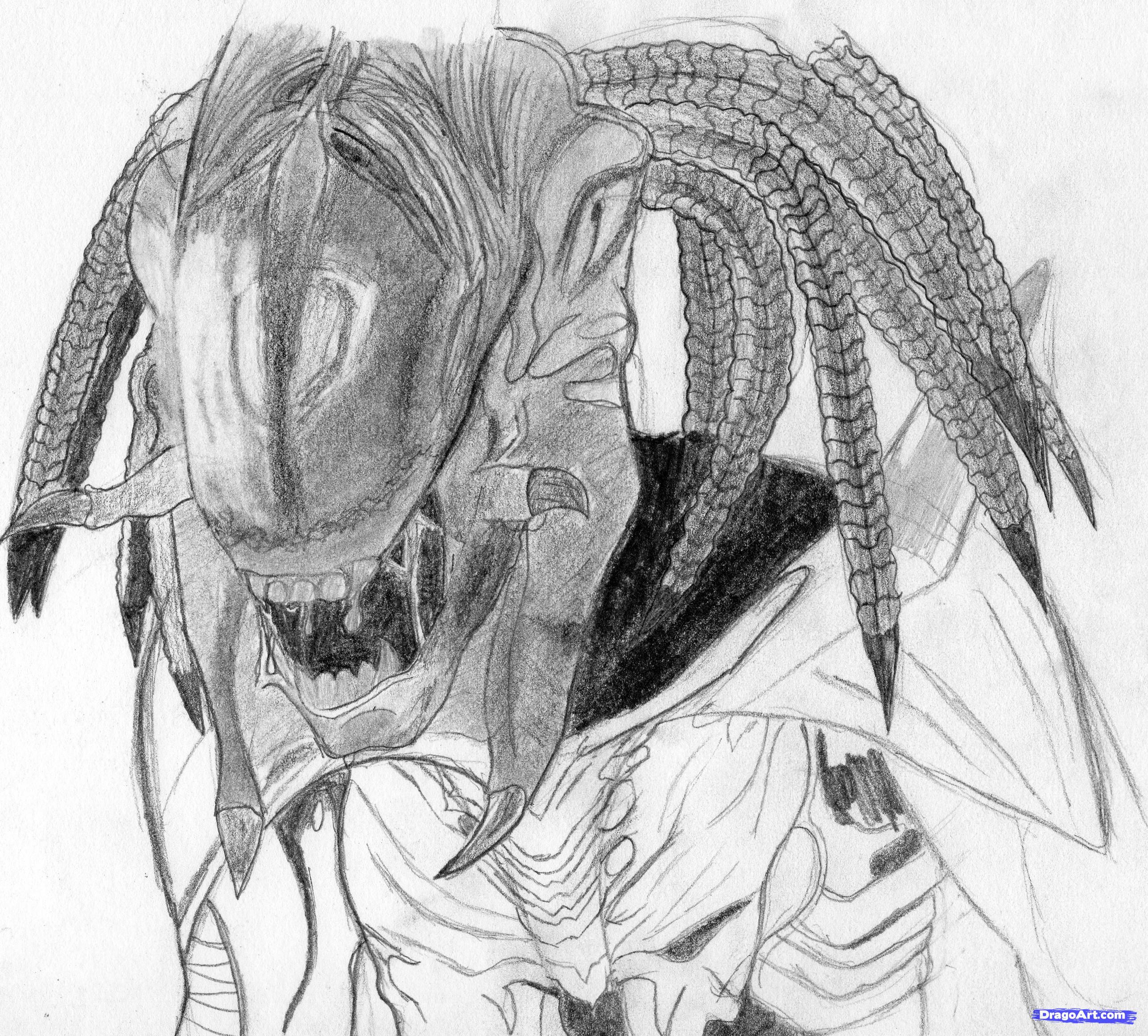 2574x2322 how to draw the predator alien, step - Predator Face Drawing