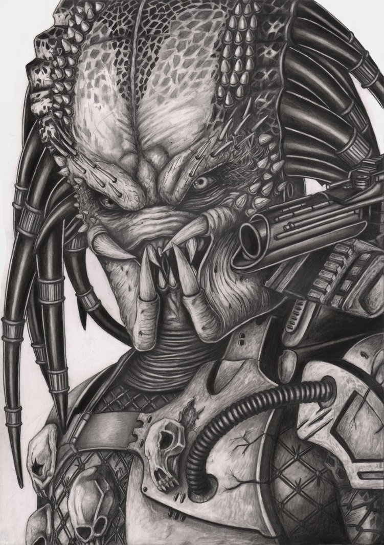 751x1065 predator drawing, pencil, sketch, colorful, realistic art images - Predator Face Drawing