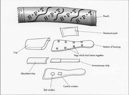 521x384 how home pregnancy test is made - Pregnancy Test Drawing