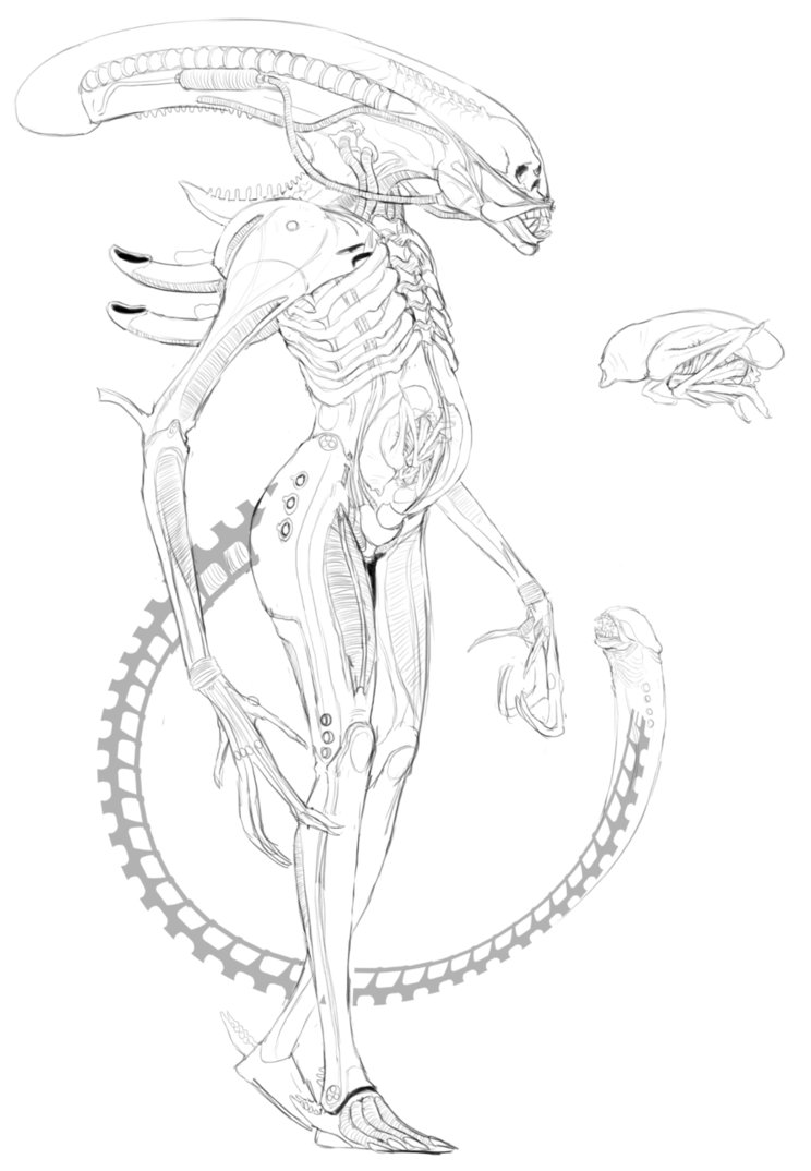 744x1074 alien drawing pregnant for free download - Pregnant Drawing.