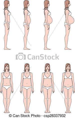 301x470 pregnant woman vector illustration of pregnant womenamp's figure - Pregnant Girl Drawing