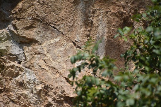 550x367 lipci prehistoric drawings, montenegro - Prehistoric Drawings