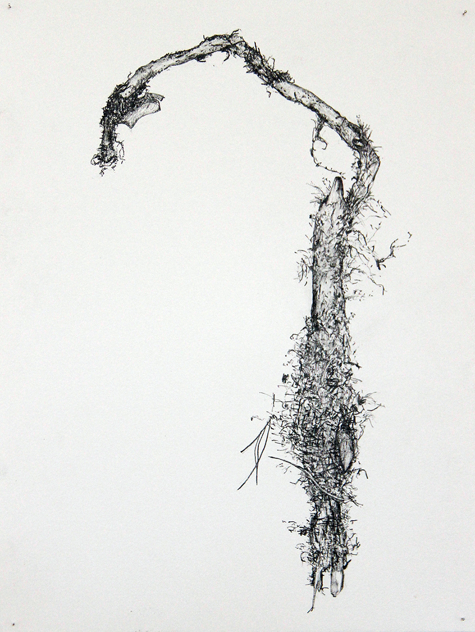 960x1278 Prelude - Prelude Drawing