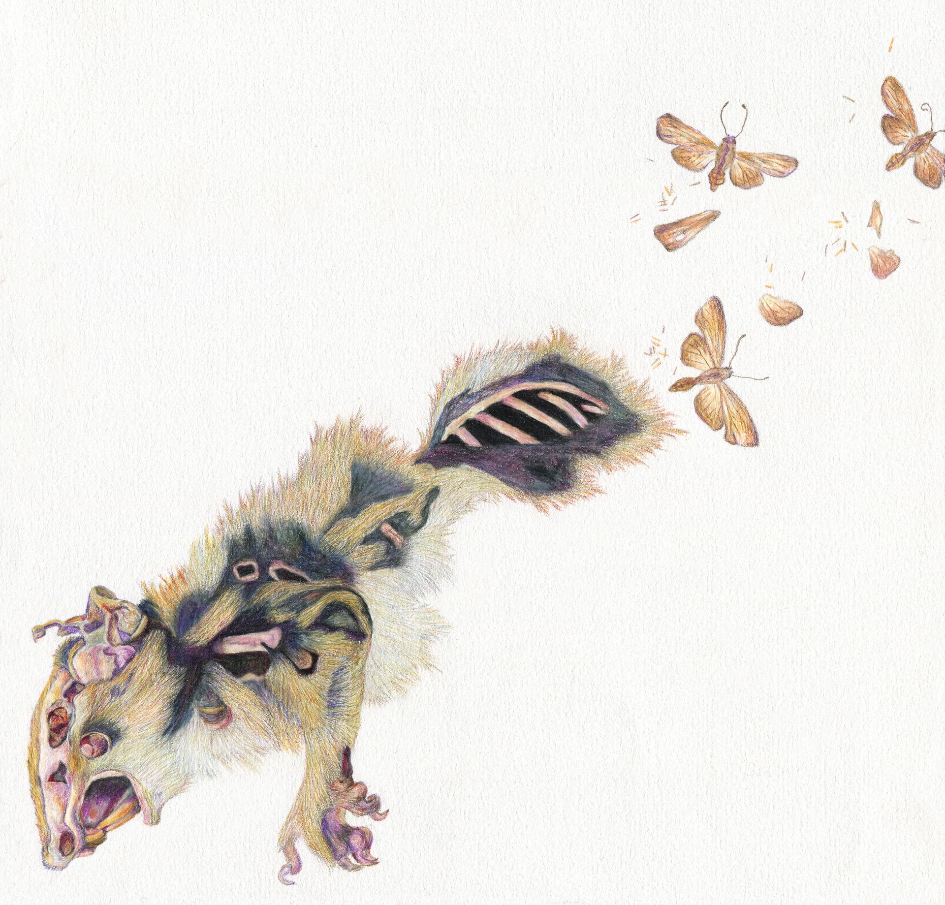 1920x1839 Prelude Drawing - Prelude Drawing