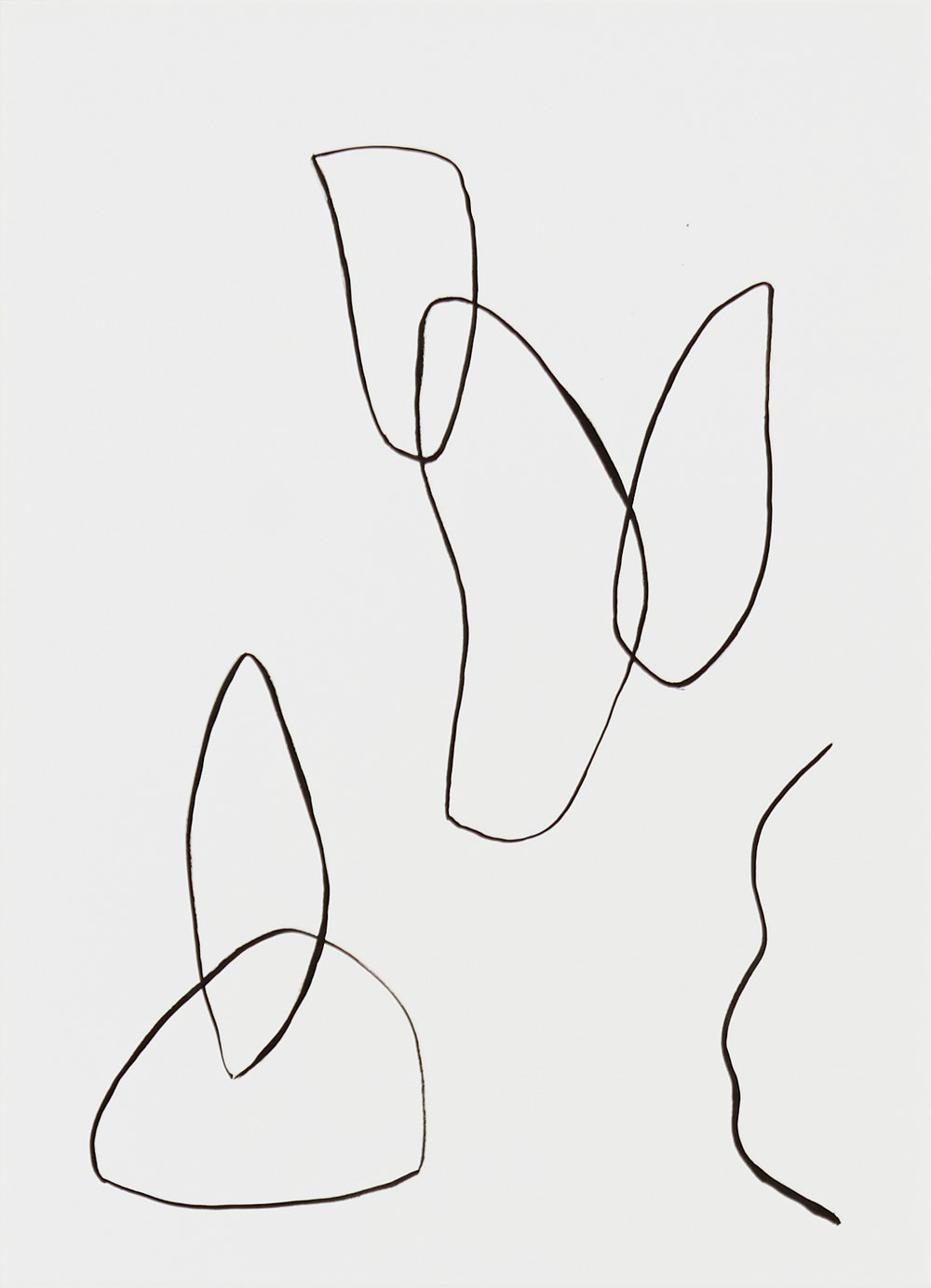 1000x1384 Flora + Form Line Drawing Ii Prelude Projects - Prelude Drawing