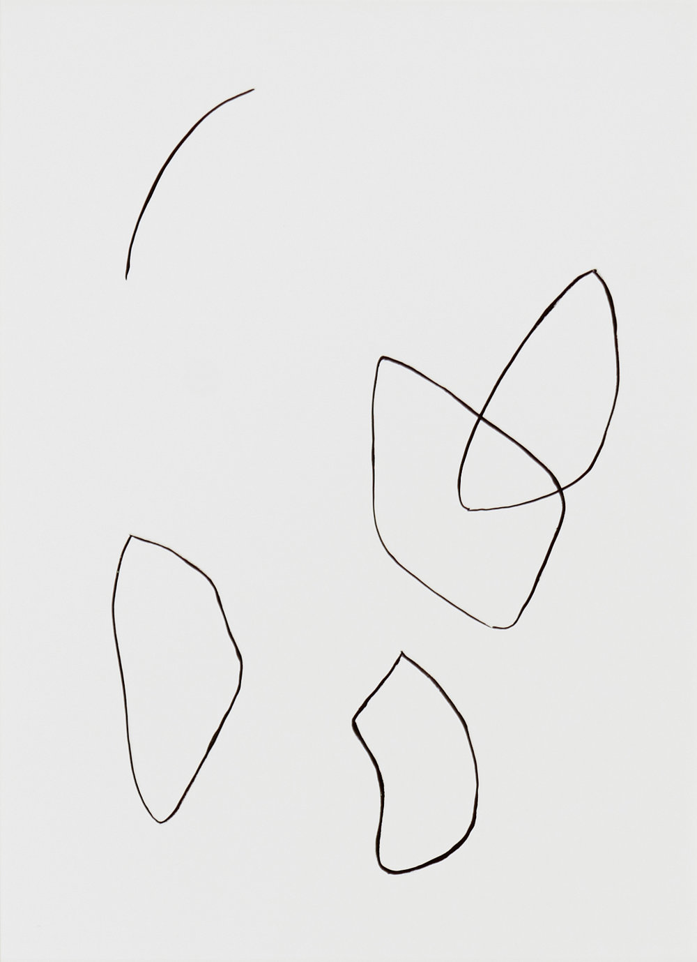 1000x1379 Flora + Form Line Drawing Iii Prelude Projects - Prelude Drawing