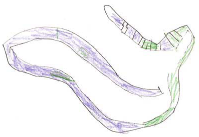 397x274 drawing with preschool children - Preschool Children Drawing