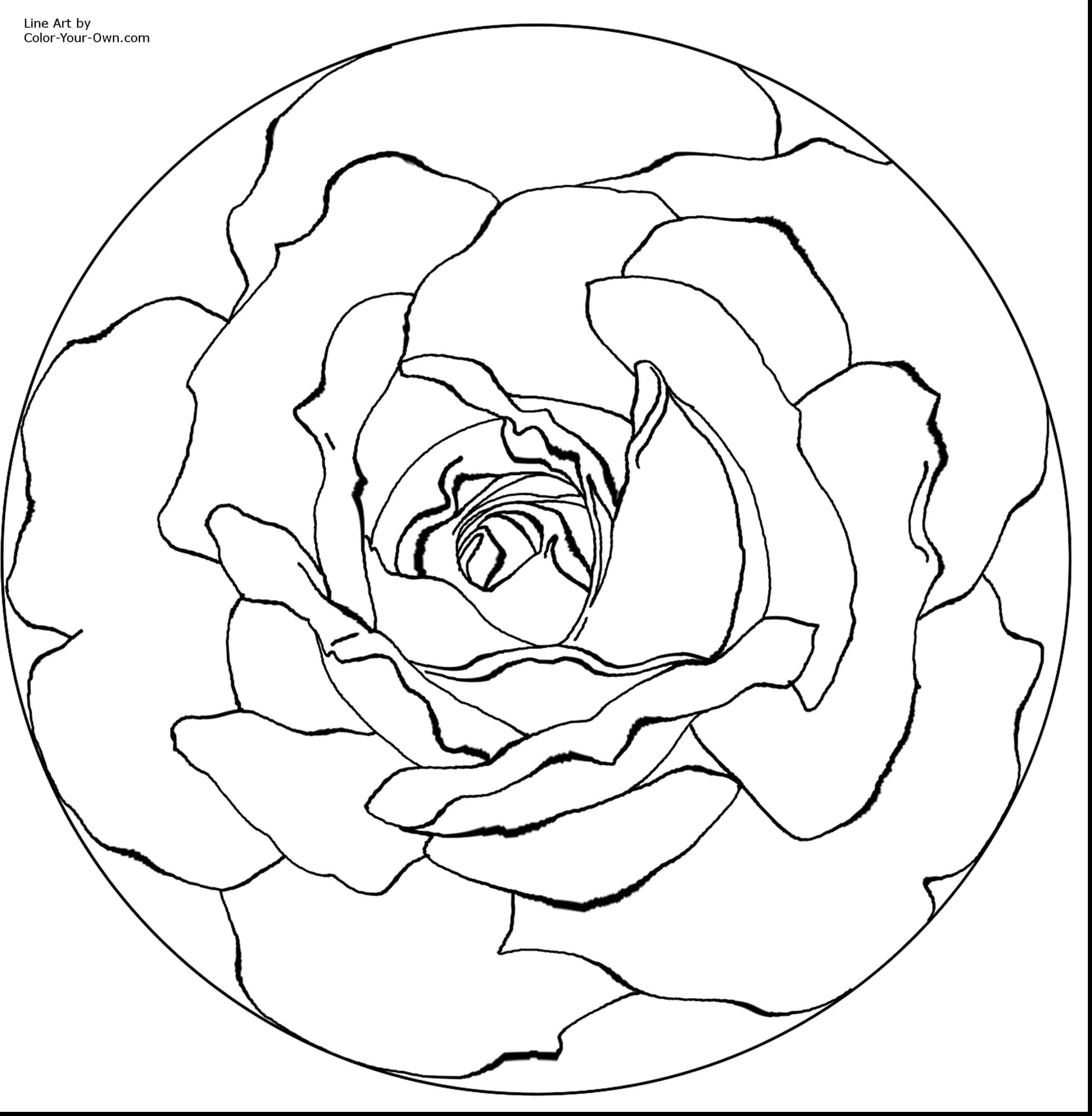 2640x2696 Line Art Drawing Rose Coloring Book Clip Black And White Roses - Preschool Drawing Book