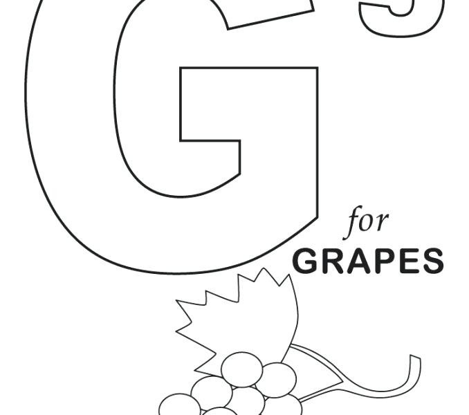 Preschool Drawing Book at Explore collection of