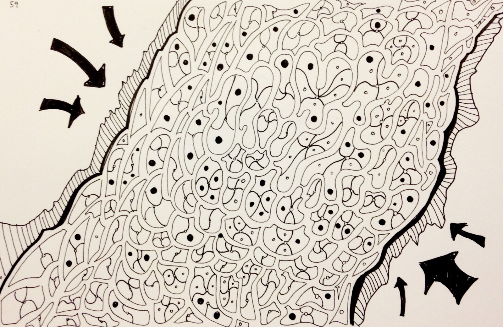 1600x1041 Things I Learned - Pressure Drawing