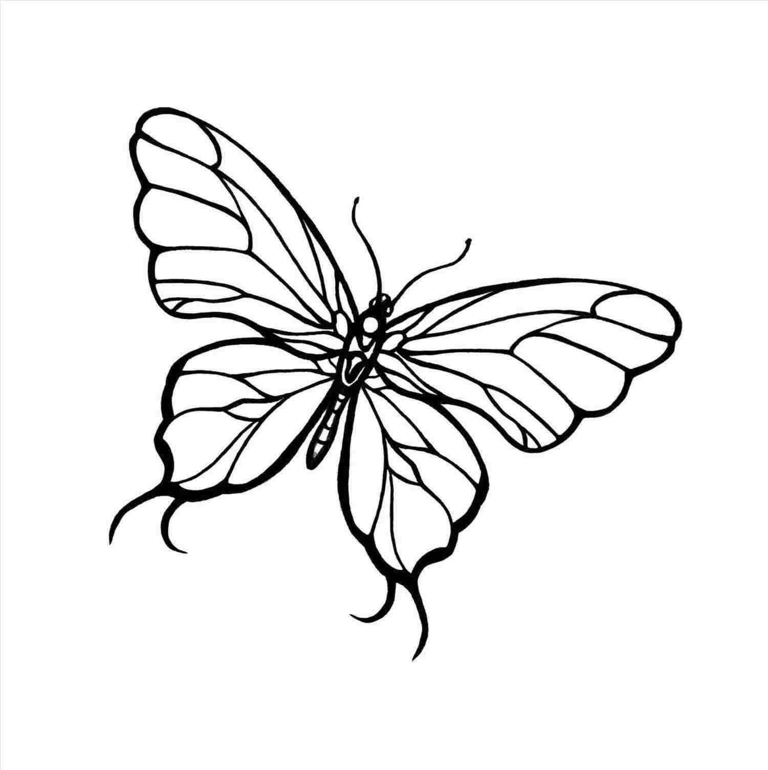 1501x1506 How To Draw A Pretty Butterfly - Pretty Butterfly Drawings