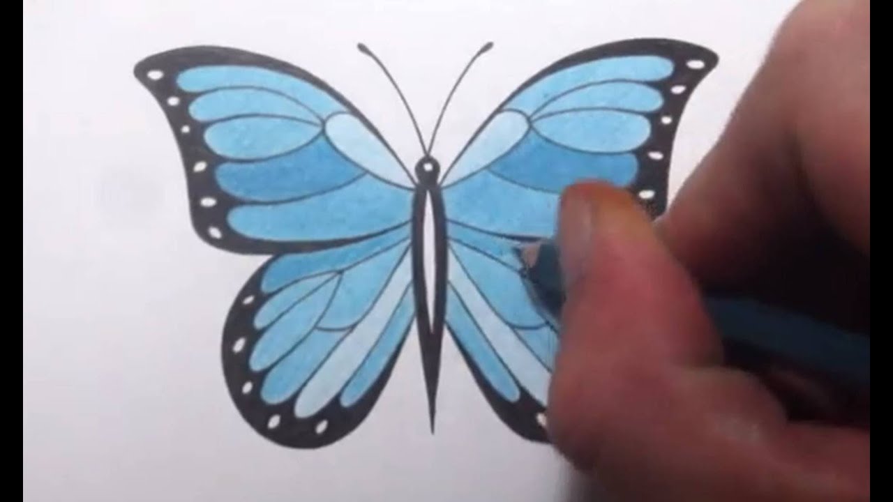 1280x720 How To Draw A Butterfly - Pretty Butterfly Drawings