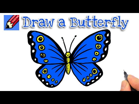 480x360 How To Draw A Beautiful Butterfly Shoo Rayner Author - Pretty Butterfly Drawings