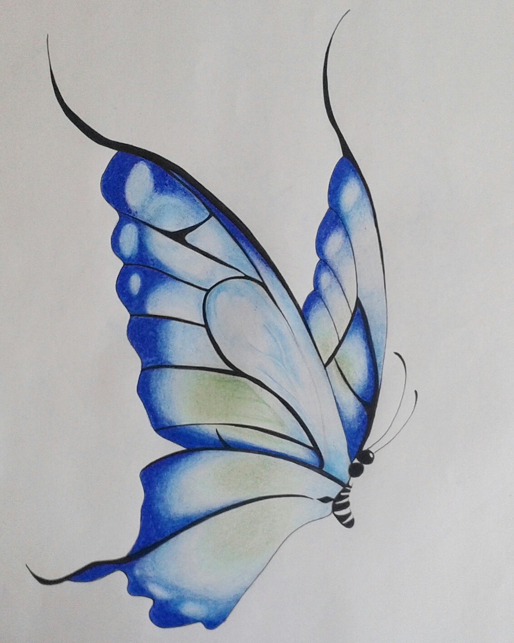 1024x1280 My Butterfly Drawing Discovered - Pretty Butterfly Drawings