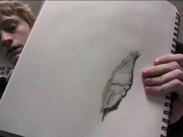 640x480 leaf drawing activity log - Pretty Cool Drawings