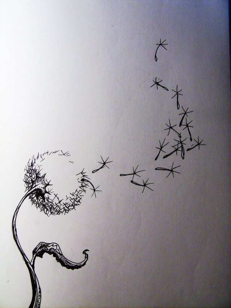 736x981 pretty cool drawings art, drawings, dandelion drawing - Pretty Cool Drawings