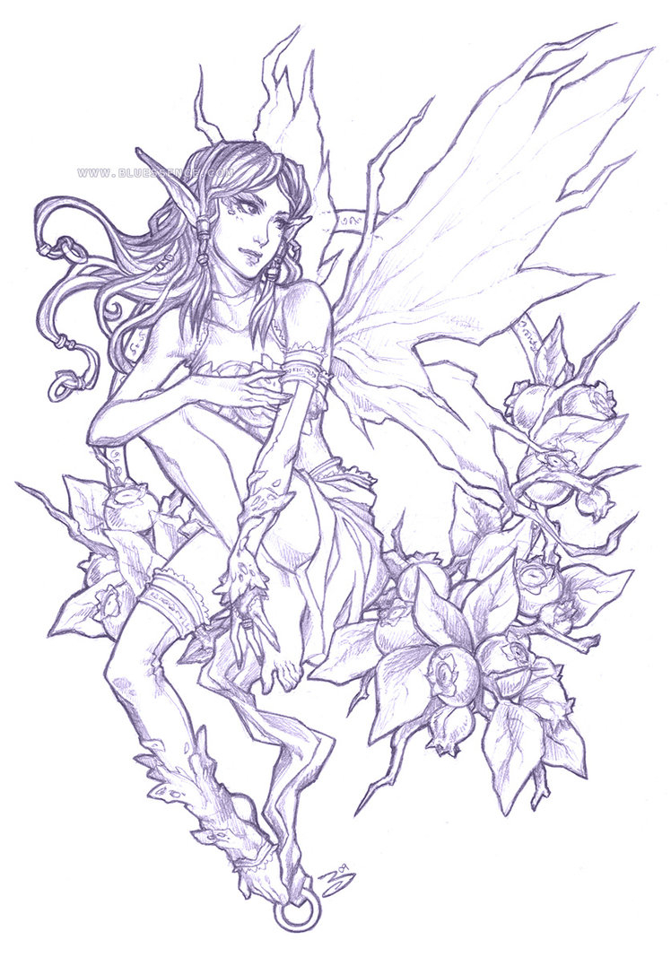 748x1067 beautiful pencil sketches of fairies fairies drawing - Pretty Fairy Drawings