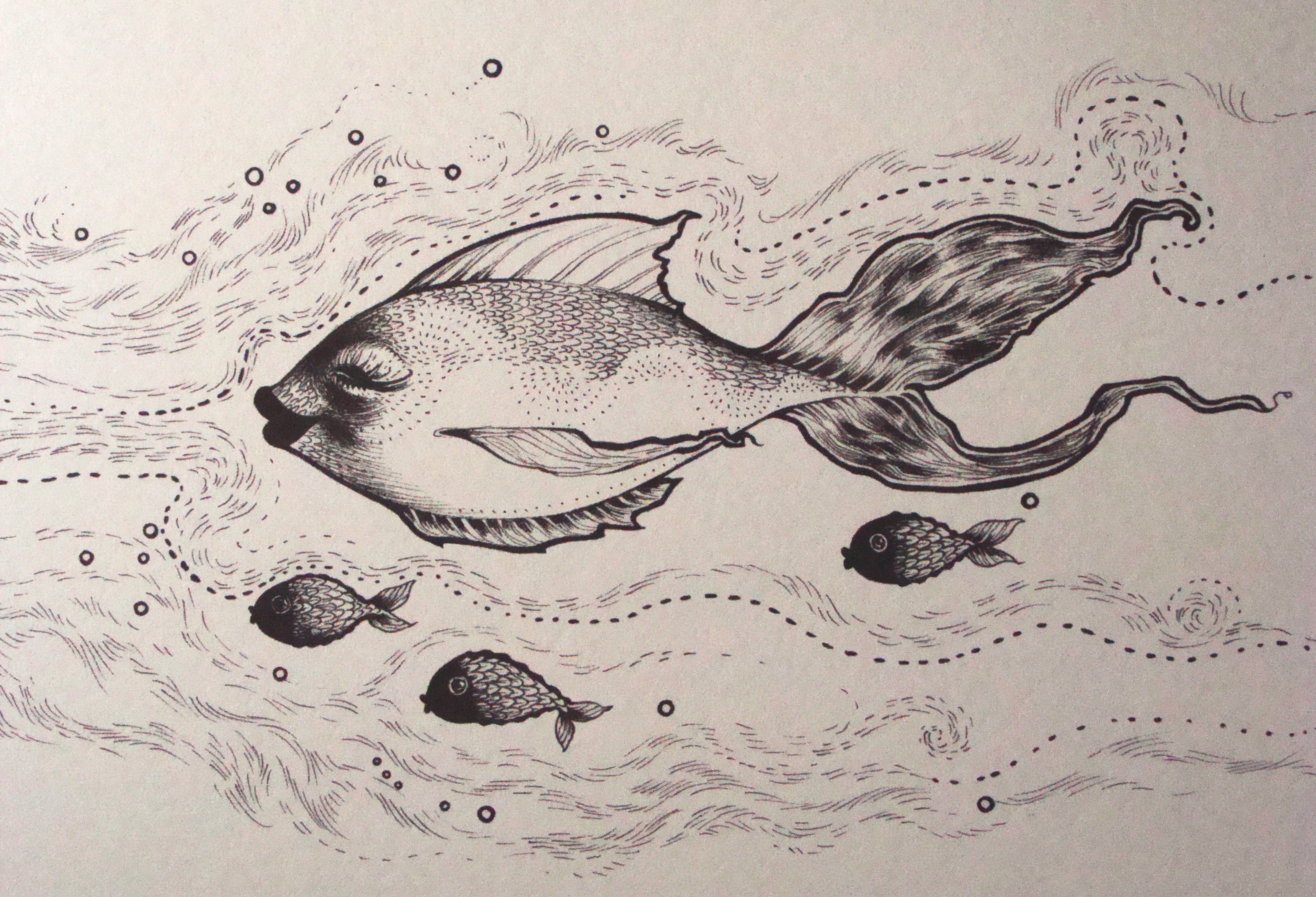 Pretty Fish Drawing at PaintingValley.com | Explore collection of ...