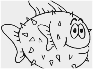 320x240 Puffer Fish Coloring - Pretty Fish Drawing