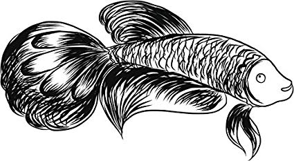 425x233 pretty black and white betta fish pen sketch drawing - Pretty Fish Drawing