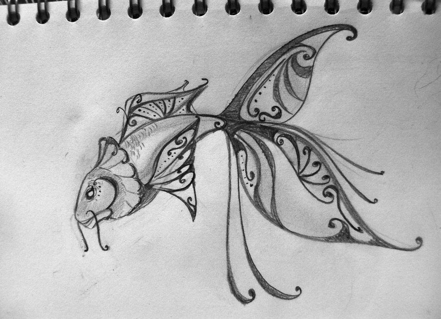 900x652 Pretty Fish Sketches - Pretty Fish Drawing