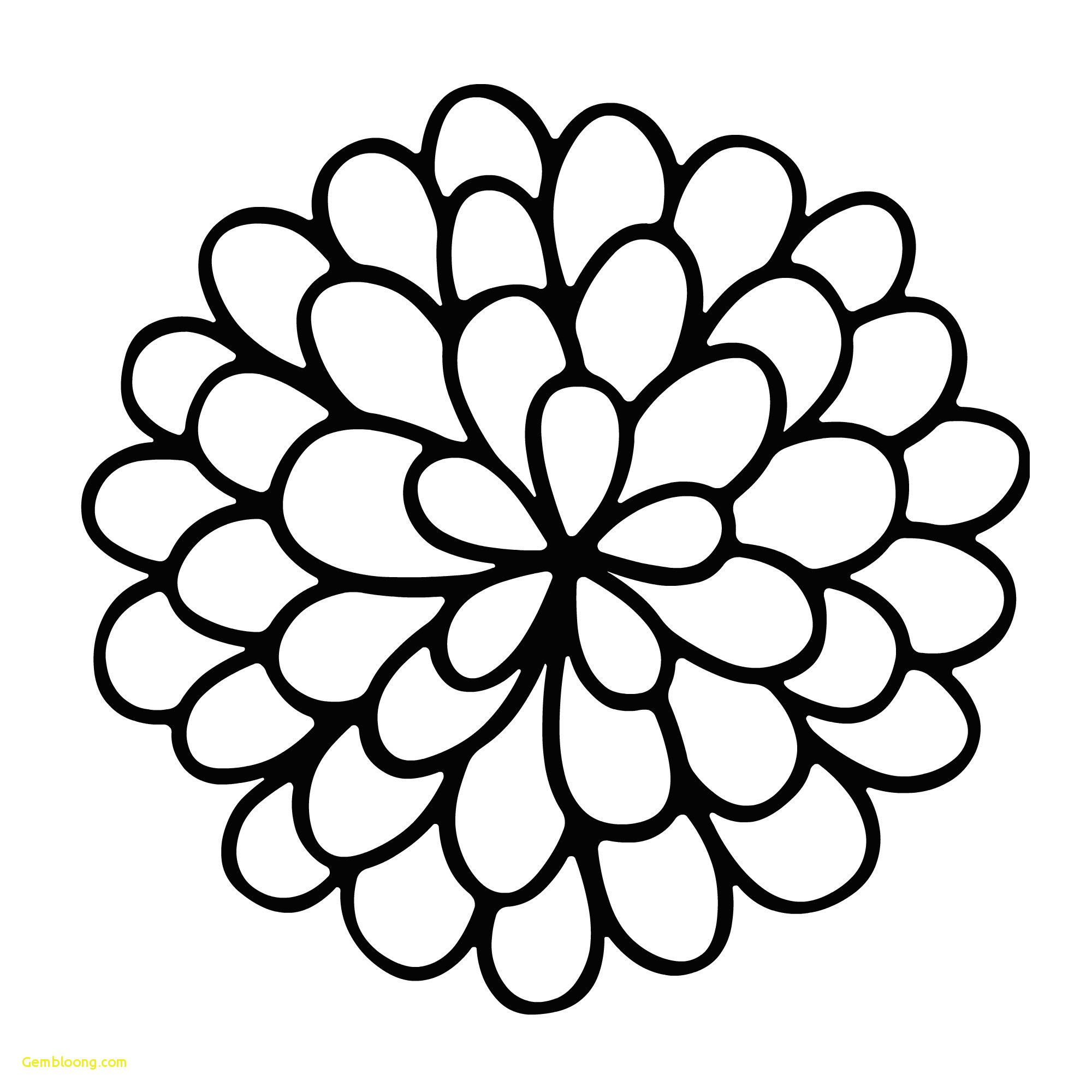 Pretty Flowers Drawing at Explore collection of