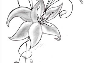 300x210 Drawing Flowers Sketch Flower Drawing - Pretty Flowers Drawing