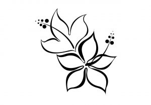 300x210 Easy And Pretty Flowers To Draw - Pretty Flowers Drawing