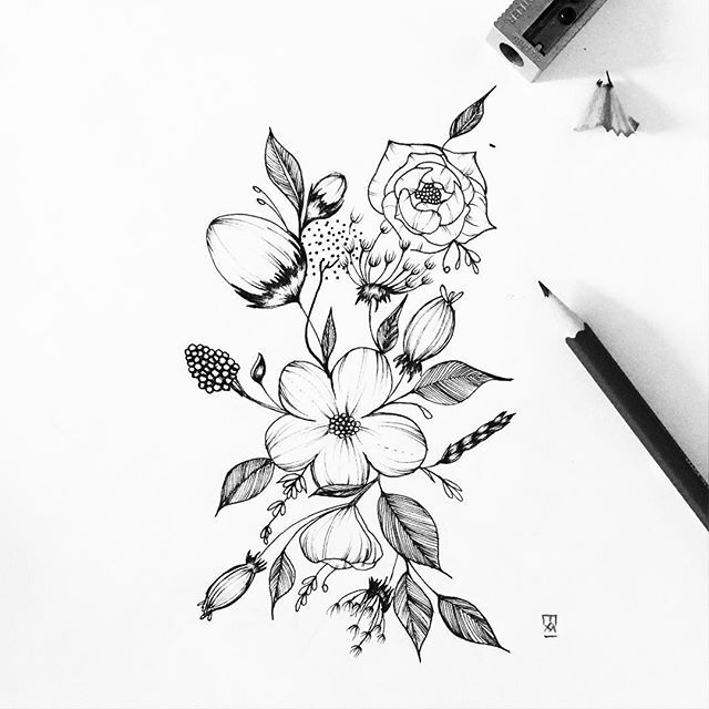 640x640 Flower Drawing Botanical Illustration In Beautiful Flower - Pretty Flowers Drawing
