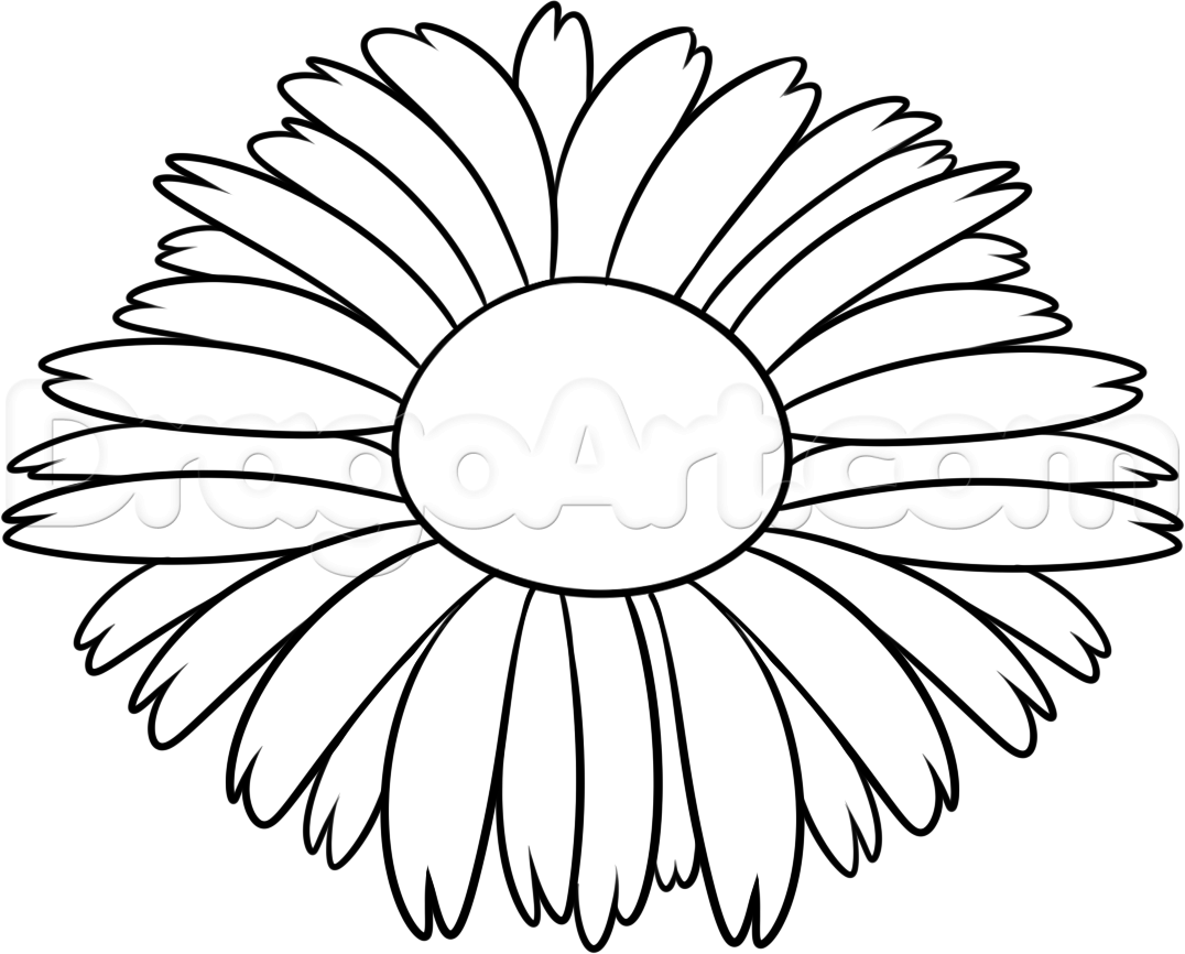 1076x866 How To Draw A Really Pretty Flower, Step - Pretty Flowers Drawing