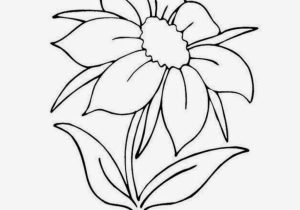 300x210 Pictures Of Pretty Flowers To Draw - Pretty Flowers Drawing