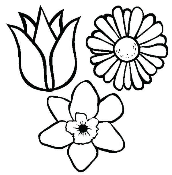 600x612 Pretty Flowers Coloring Pages Types Of New Free Printable For Draw - Pretty Flowers Drawing