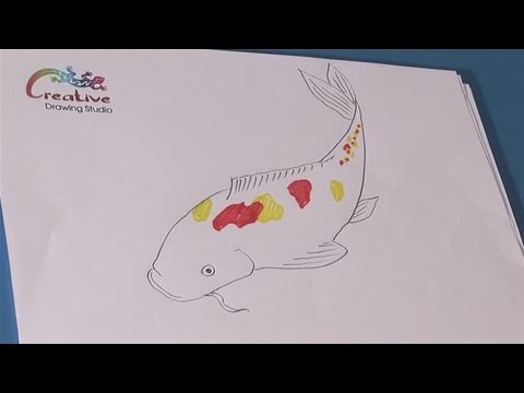 480x360 How To Create A Beautiful Koi Fish Drawing - Pretty Koi Fish Drawing