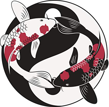 Pretty Koi Fish Drawing at PaintingValley.com | Explore collection of ...