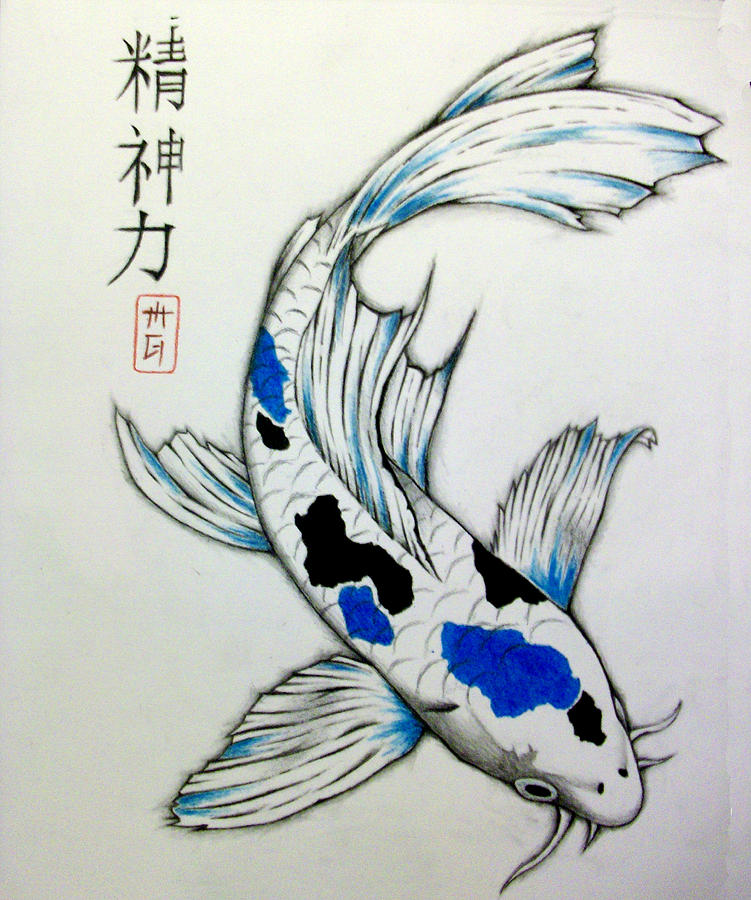 751x900 spiritual strength koi drawing - Pretty Koi Fish Drawing