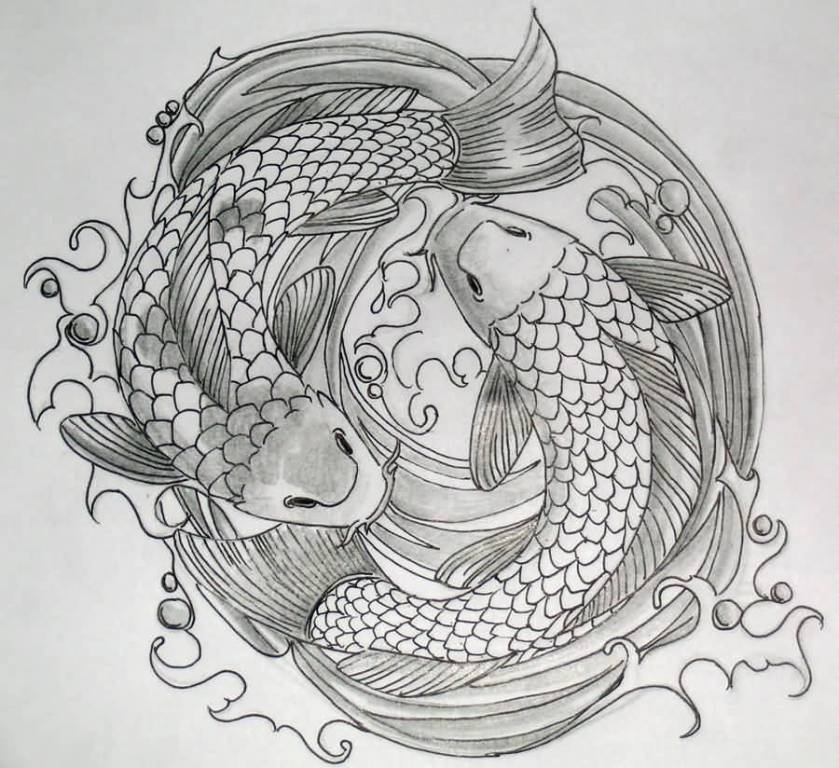 Beautiful Drawing Koi Fish Tattoo - Pretty Koi Fish Drawing. 