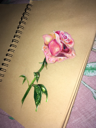 320x427 liked drawings - Pretty Rose Drawing