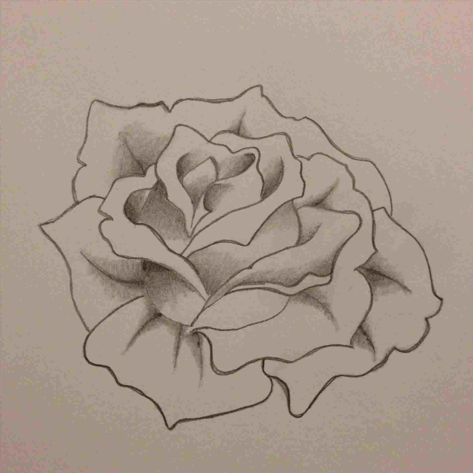 1899x1899 easy lessons learn rhyoutubecom how pretty rose drawing to draw - Pretty Rose Drawing