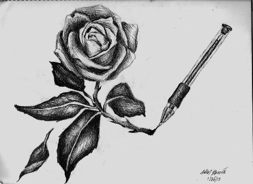 500x363 Pretty Drawings Tumblr - Pretty Rose Drawing