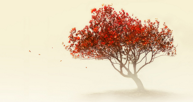 640x341 Draw A Tree To Find Out Who You Are - Pretty Tree Drawing