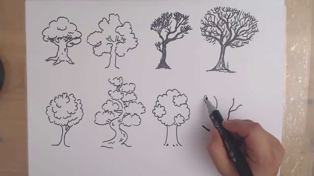 1280x720 How To Draw A Tree - Pretty Tree Drawing