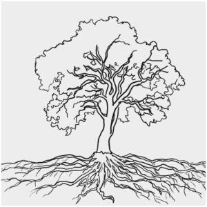300x300 Images Of Trees To Color Pretty Tree Shape Clipart To Color - Pretty Tree Drawing
